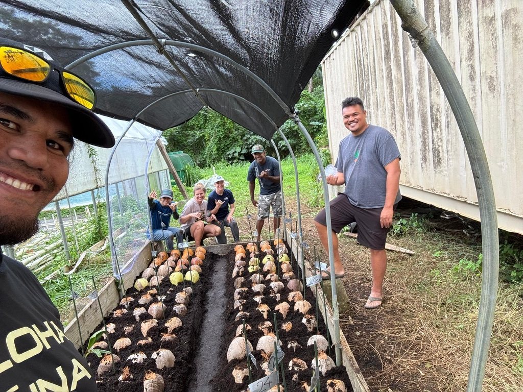 Co-op members standing beside rows of kalo in a shade house
